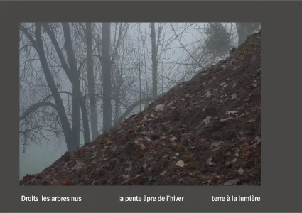 Cent vues du mont hitachi 2 web site33