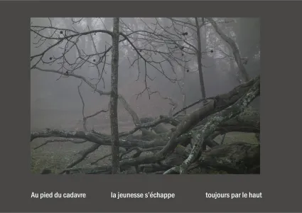 Cent vues du mont hitachi 2 web site31