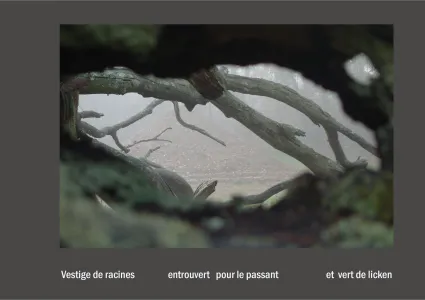 Cent vues du mont hitachi 2 web site30