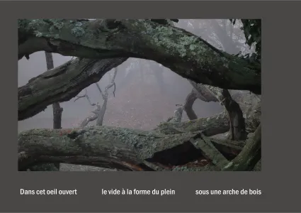 Cent vues du mont hitachi 2 web site29