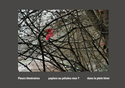 Cent vues du mont hitachi 2 web site45