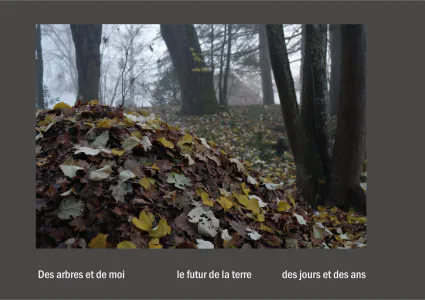 Cent vues du mont hitachi 2 web site37