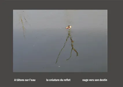 Cent vues du mont hitachi 2 web site57