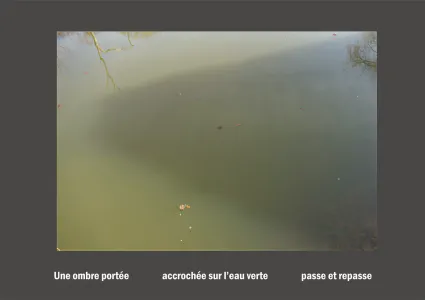 Cent vues du mont hitachi 2 web site56