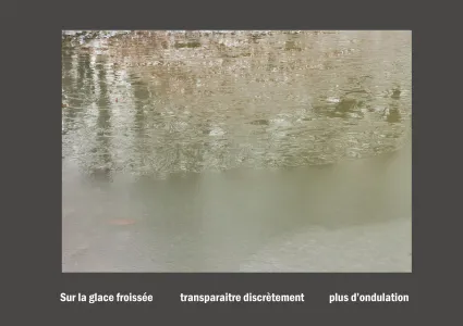 Cent vues du mont hitachi 2 web site54