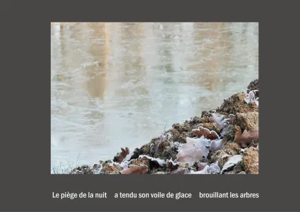 Cent vues du mont hitachi 2 web site51