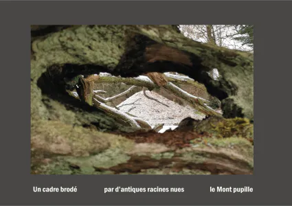 Cent vues du mont hitachi 2 web site63