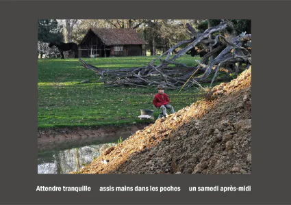 Cent vues du mont hitachi 2 web site80