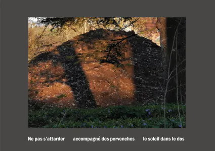 Cent vues du mont hitachi 2 web site74