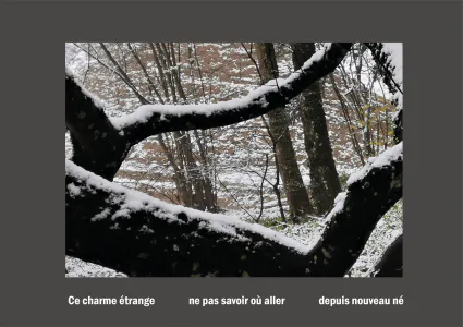 Cent vues du mont hitachi 2 web site73