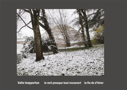 Cent vues du mont hitachi 2 web site72