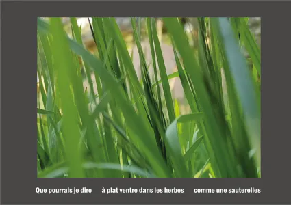 Cent vues du mont hitachi 2 web site94