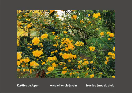 Cent vues du mont hitachi 2 web site92