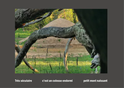 Cent vues du mont hitachi 2 web site91