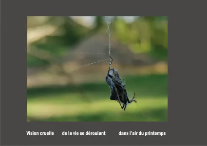 Cent vues du mont hitachi 2 web site90