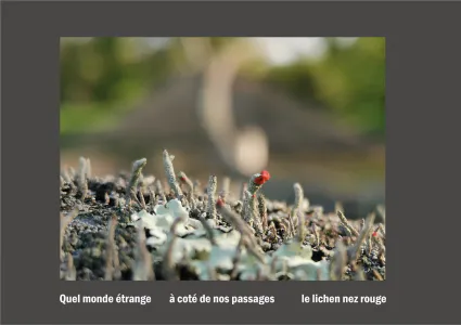 Cent vues du mont hitachi 2 web site88