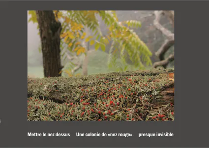 Cent vues du mont hitachi 2 web site111