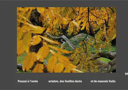 Cent vues du mont hitachi 2 web site110