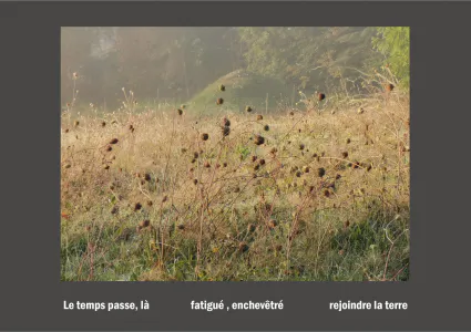 Cent vues du mont hitachi 2 web site107