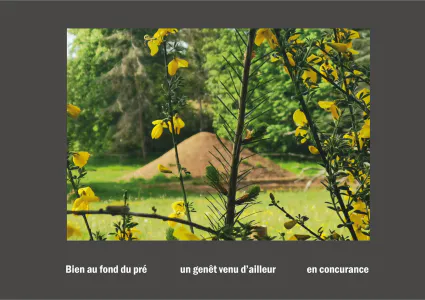 Cent vues du mont hitachi 2 web site101