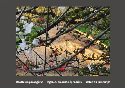 Cent vues du mont hitachi 2 web site98