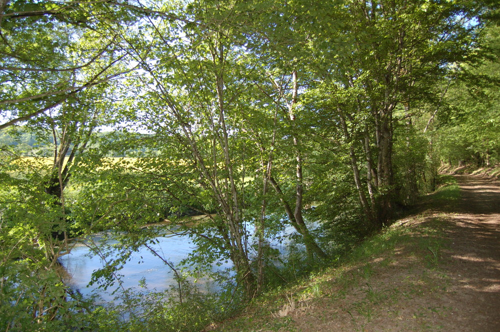 Balade au bord du Serein