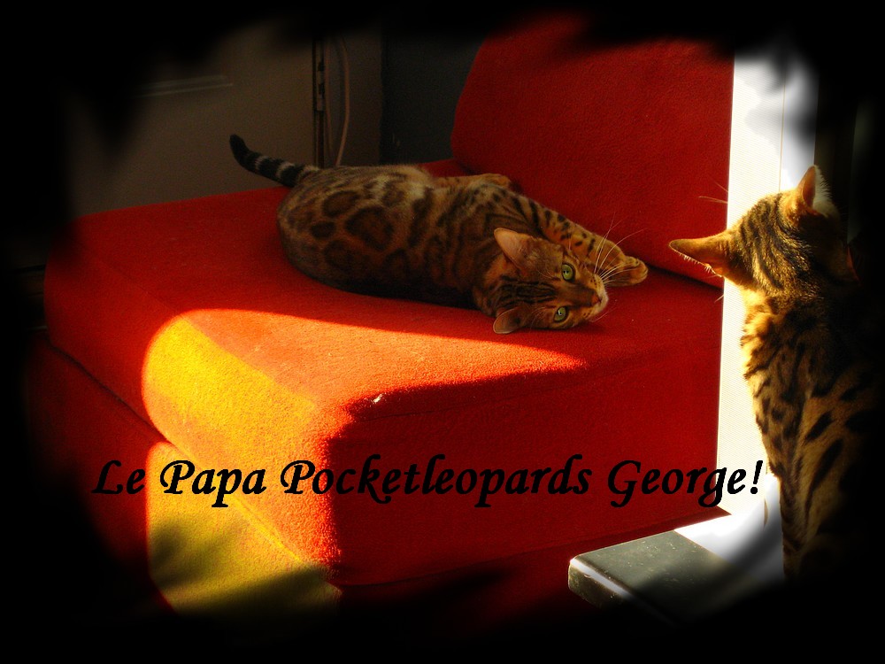 George