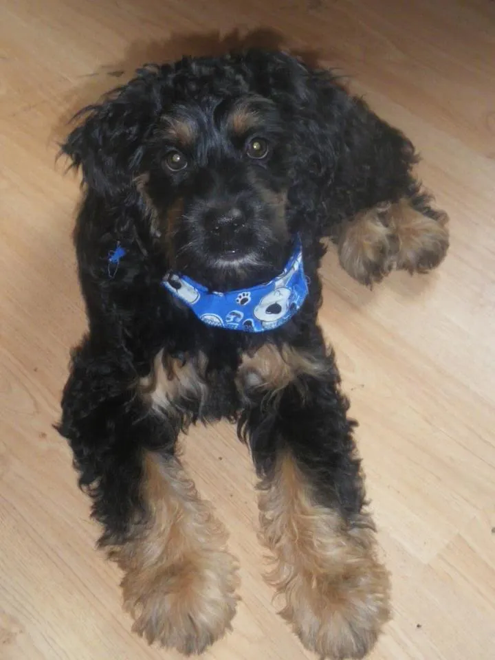 419442 335951889773455 100000759394130 803671 176877892 n