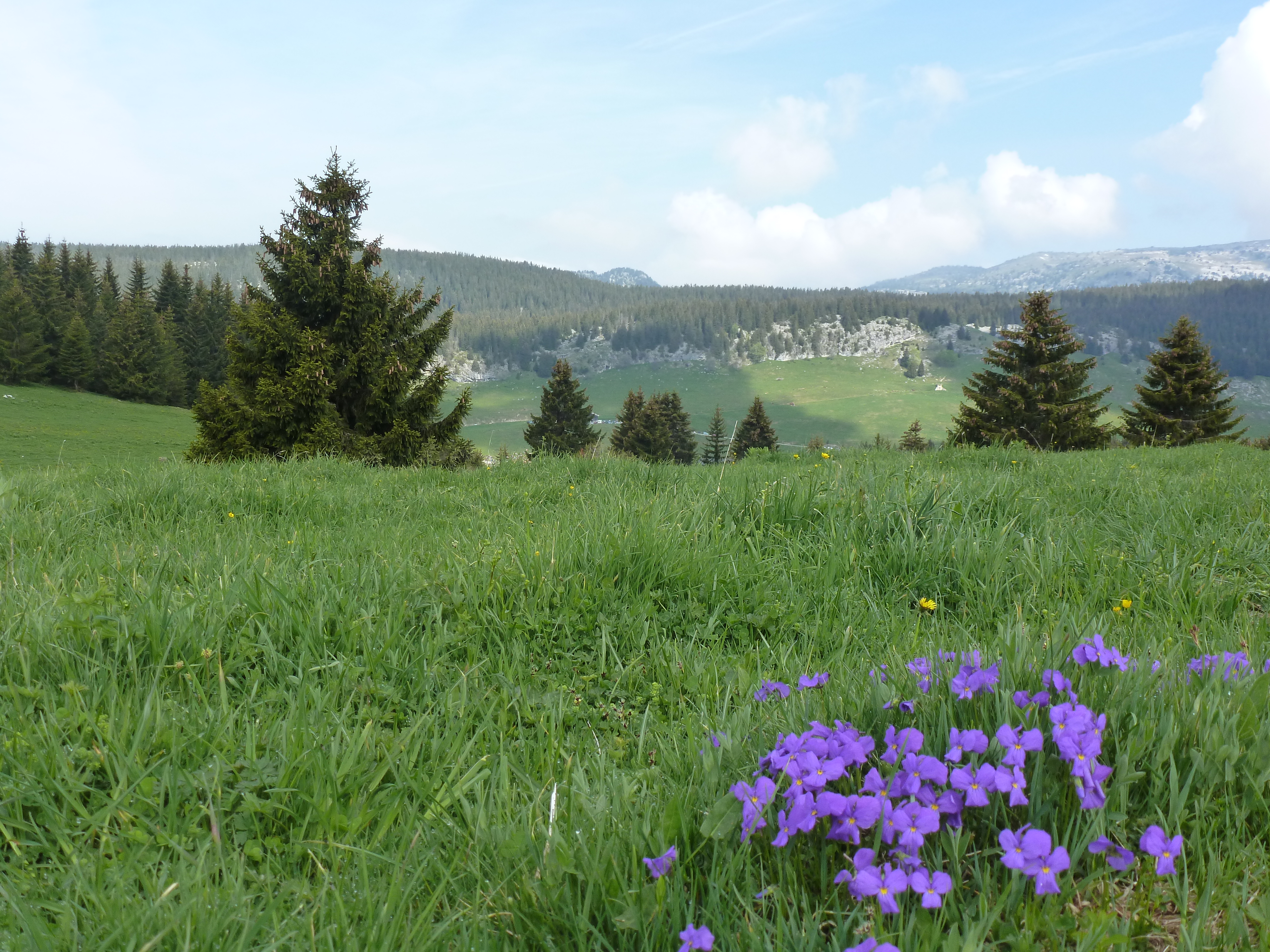 Rando glieres 2012 104