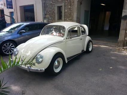 1146217 10201723888801646 320316047 o 1