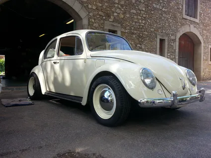 793698 10201723894281783 232660356 o 1