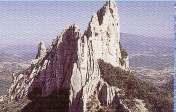 Dentelles de Montmirail
