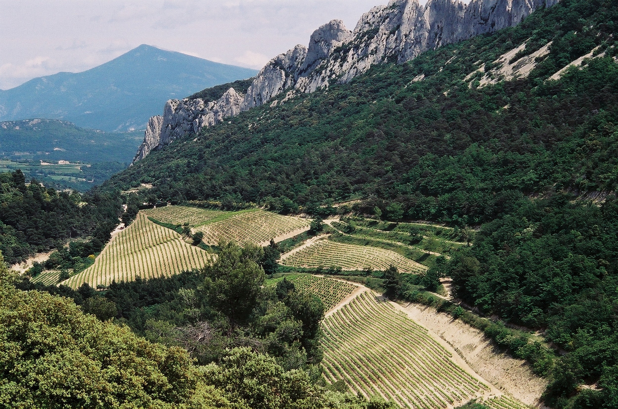 Gigondas 006