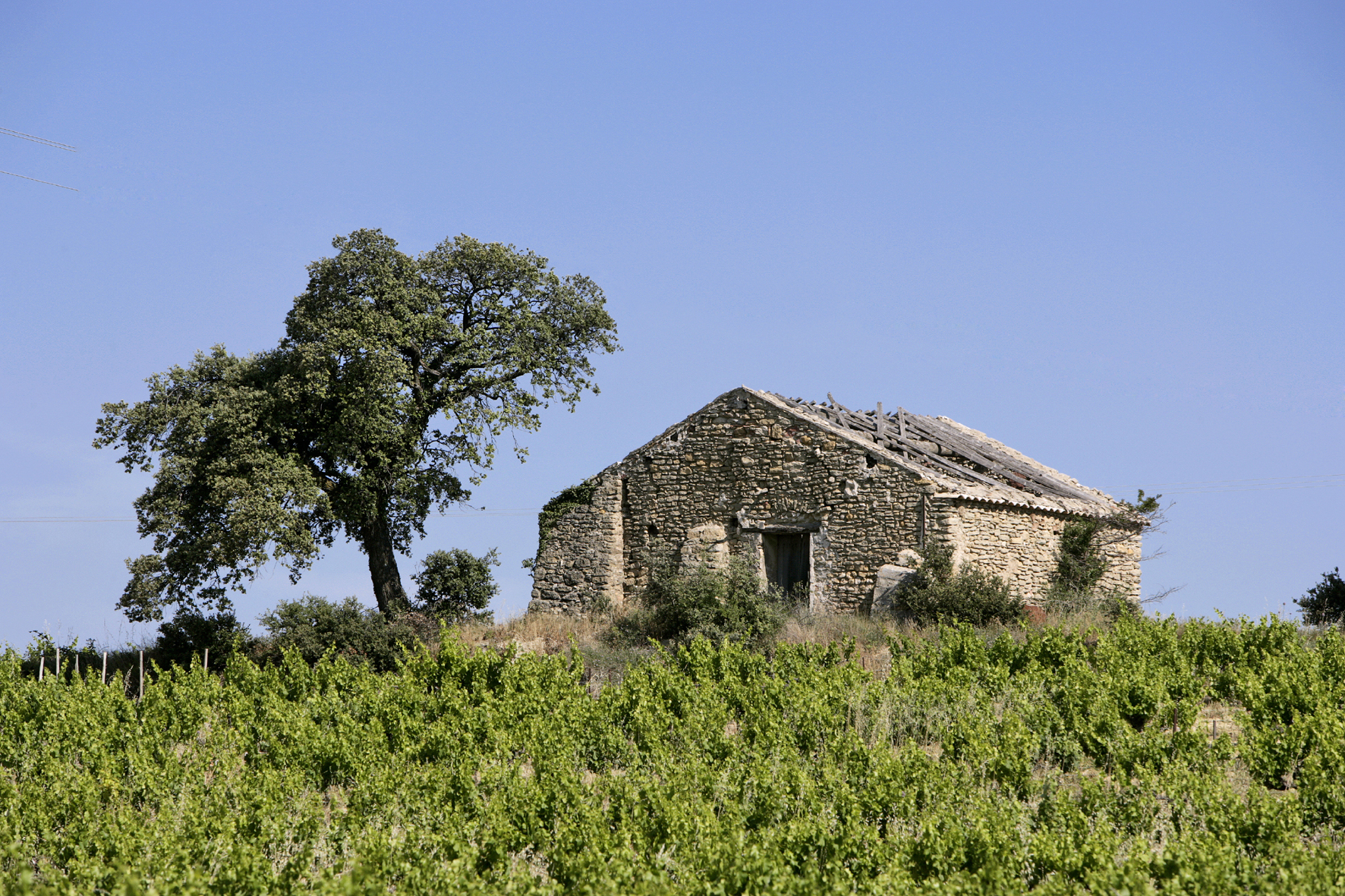 9013 vacqueyras
