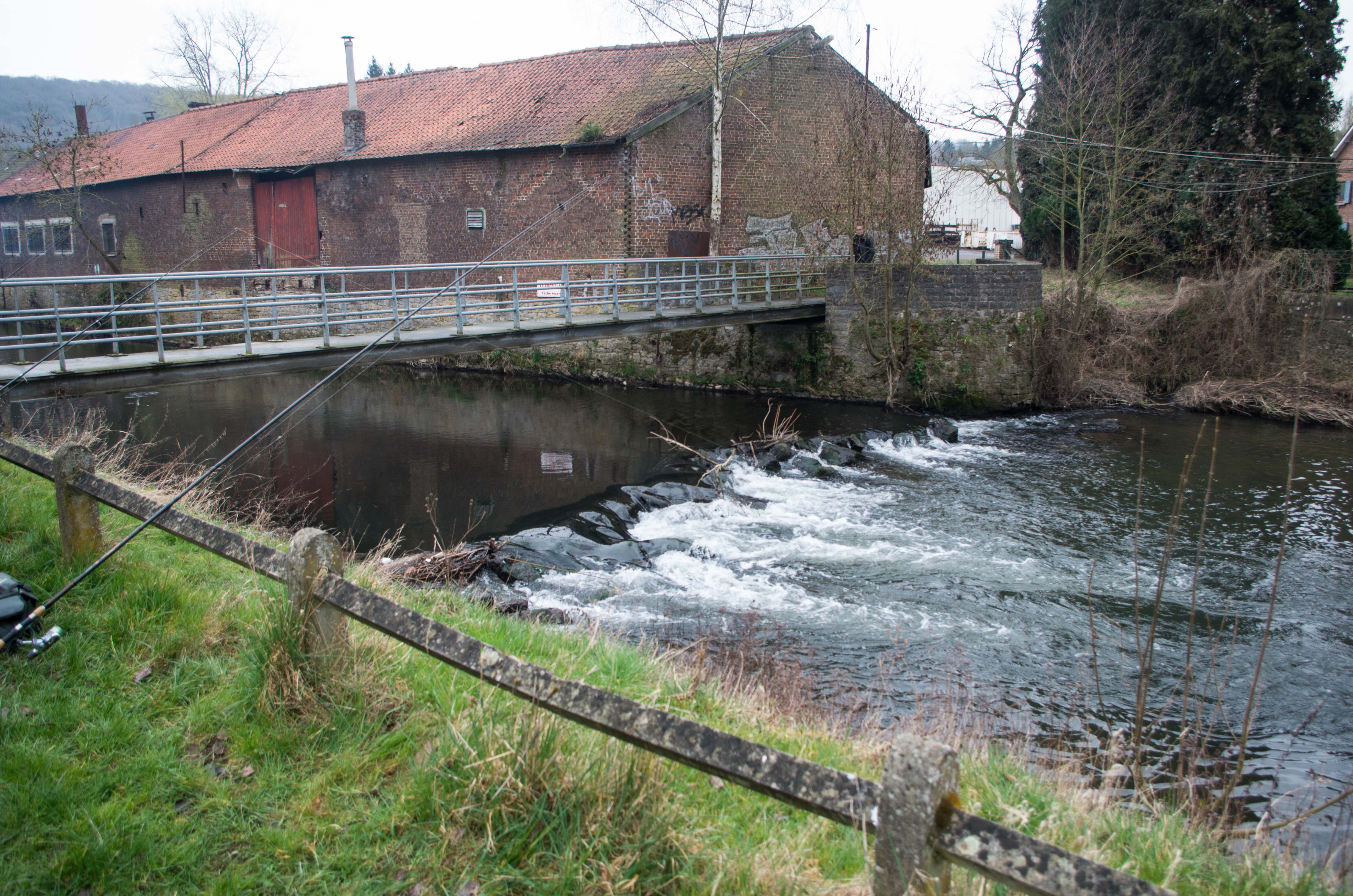 2014 03 15 ouverture truite jamioulx photo video 21