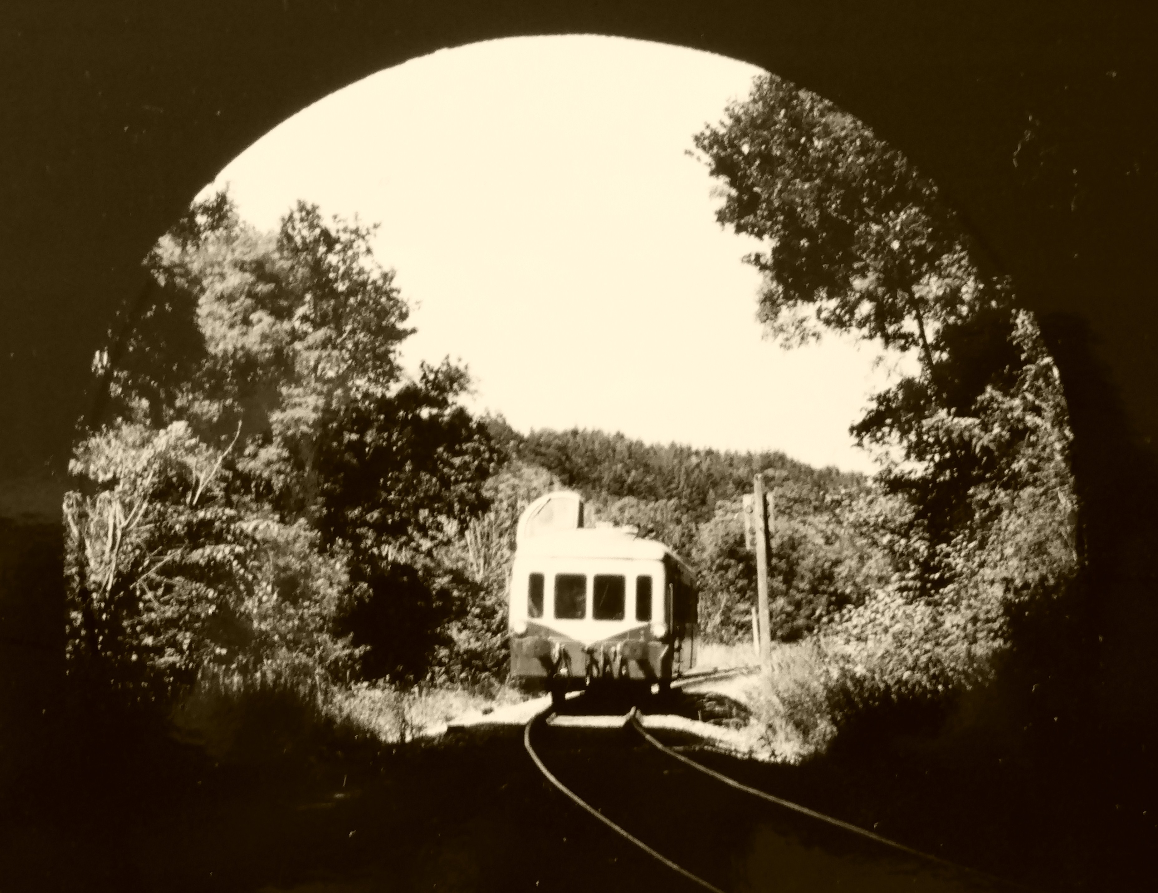 P1000427