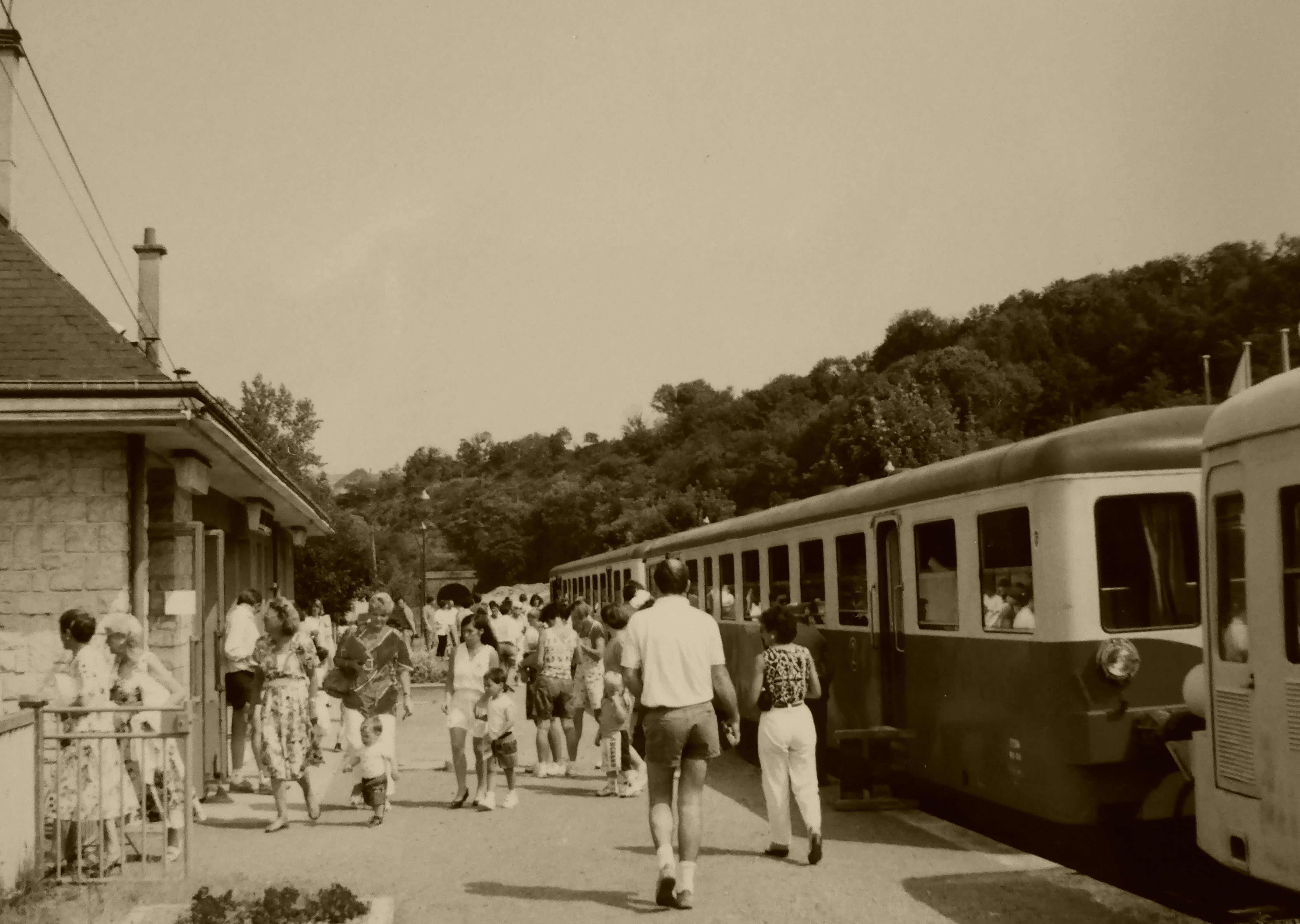 P1000447