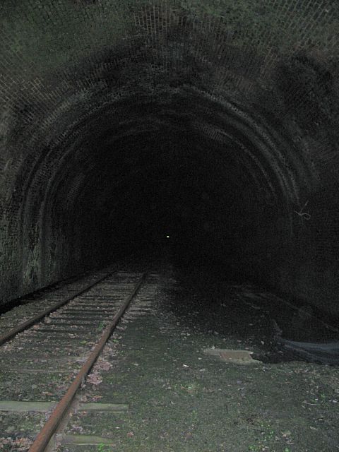 Atg3