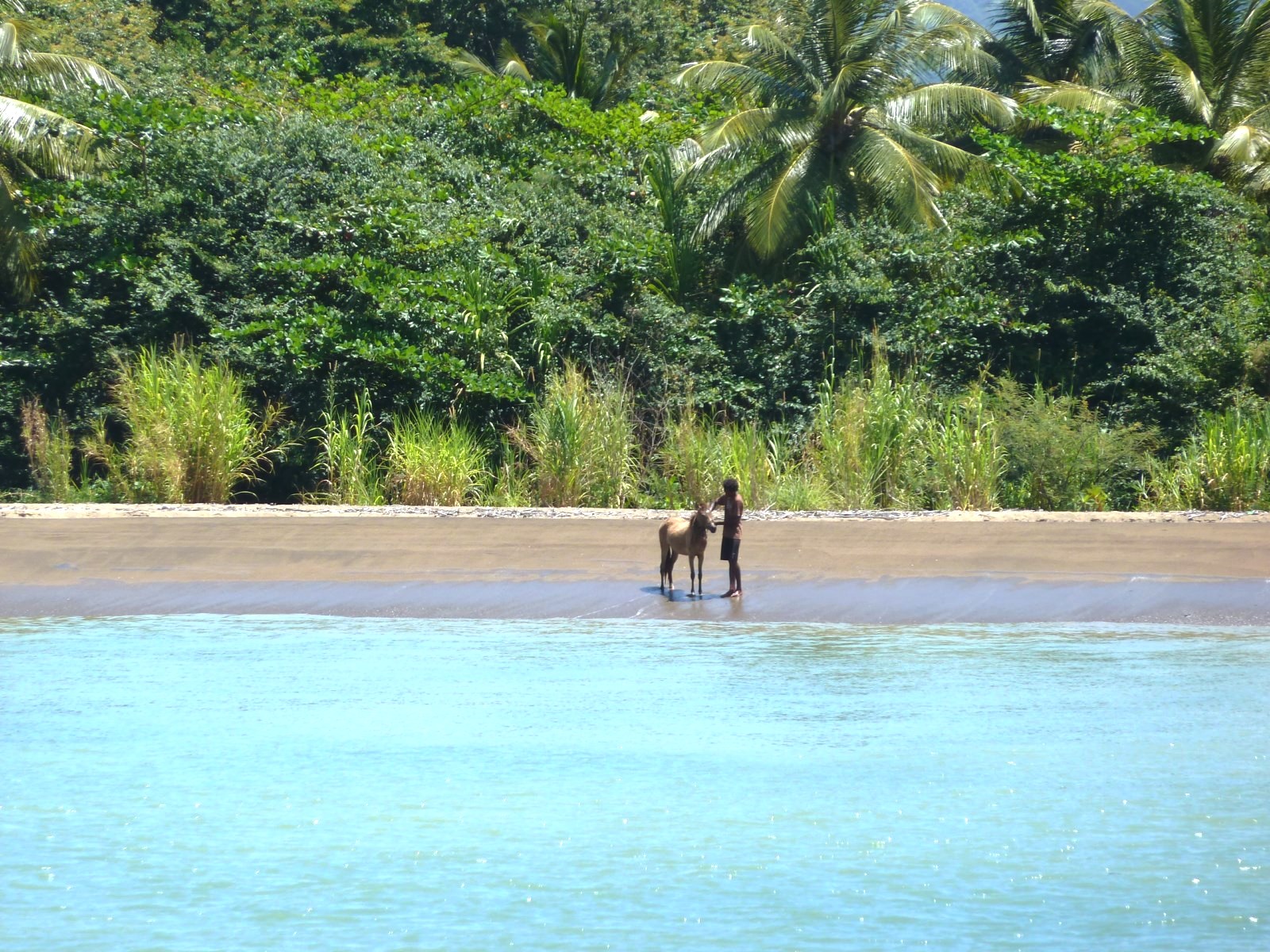 croisières et plongée sous marine Caraïbes