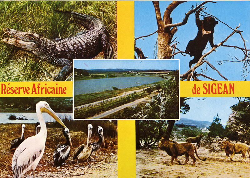 Sigean postcard 7