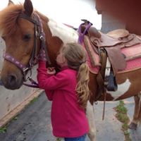 Photo poney 1