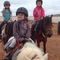 Photo poneys 2
