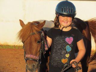 Photo poney 3
