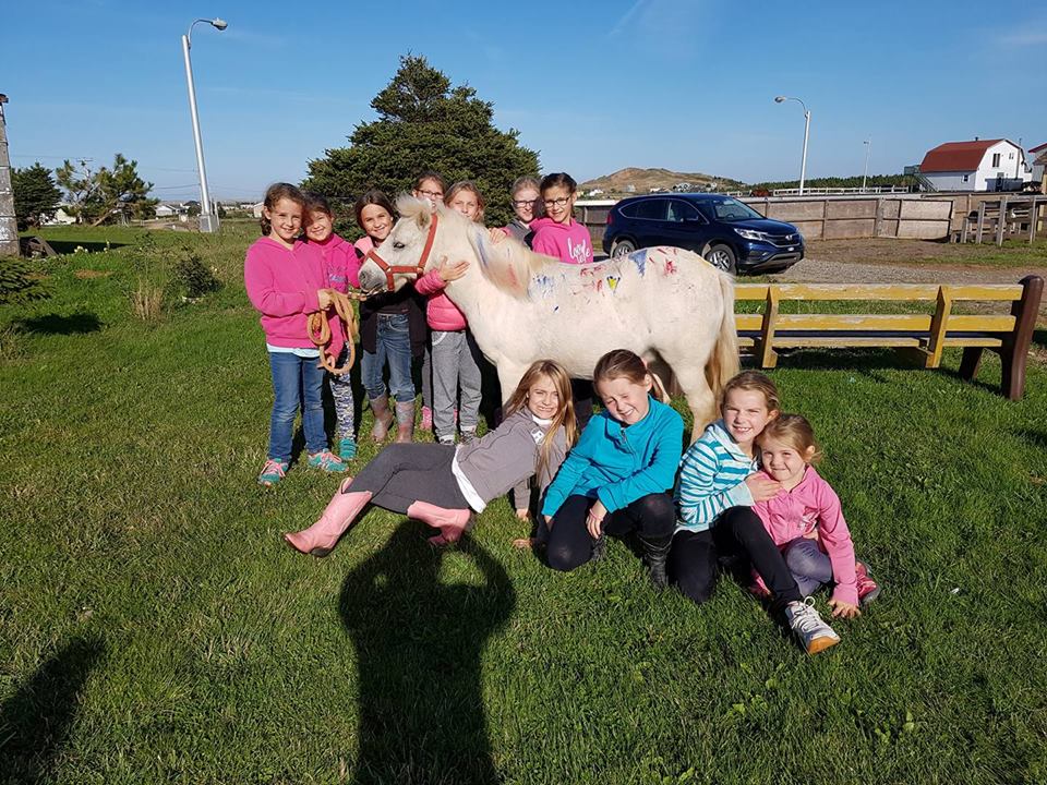 Photo poney 5