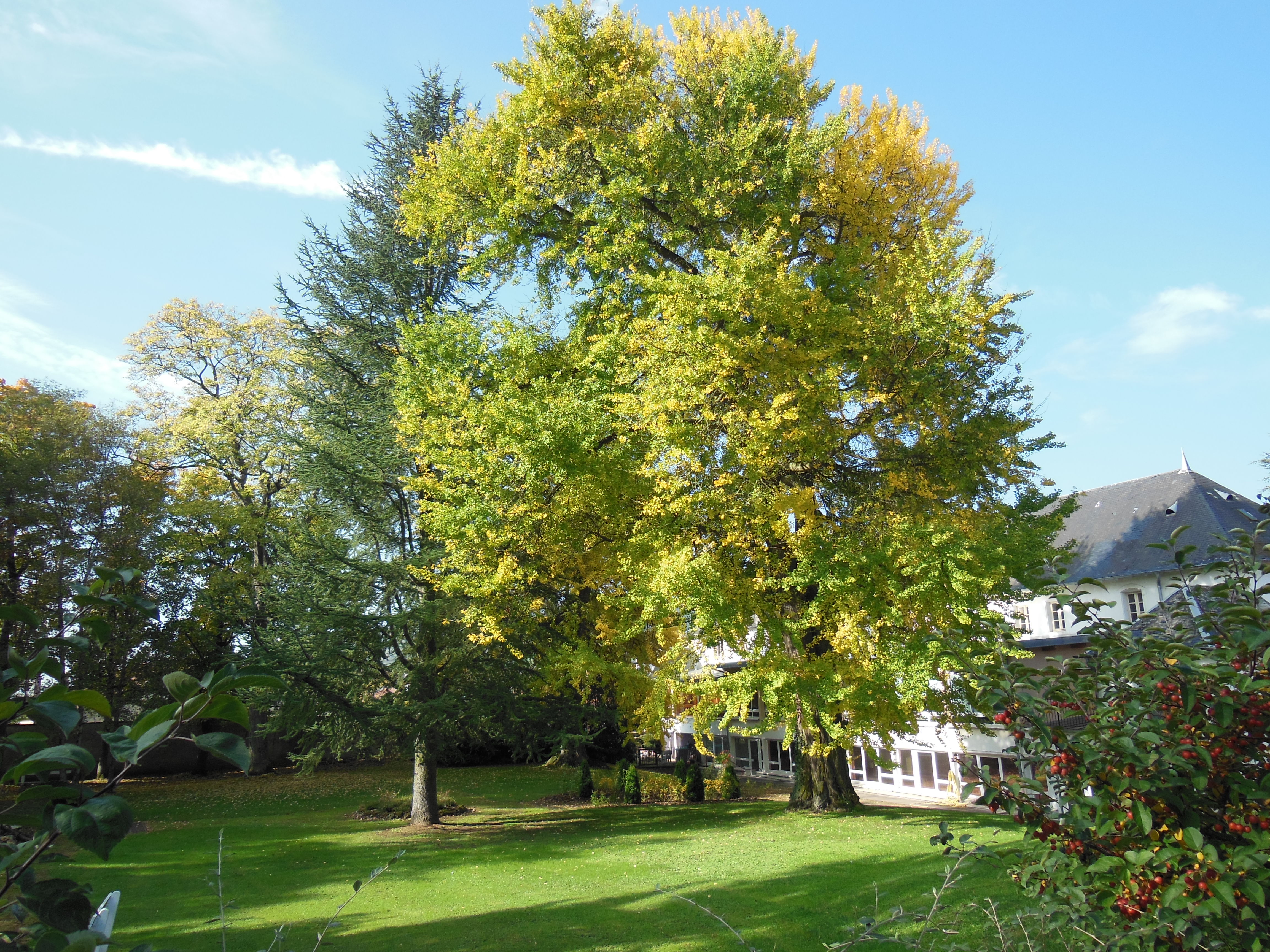 22 oct 2012 parc 027