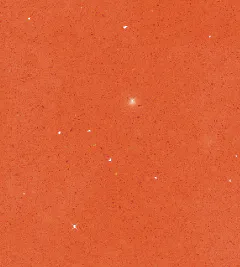 Col3 orange