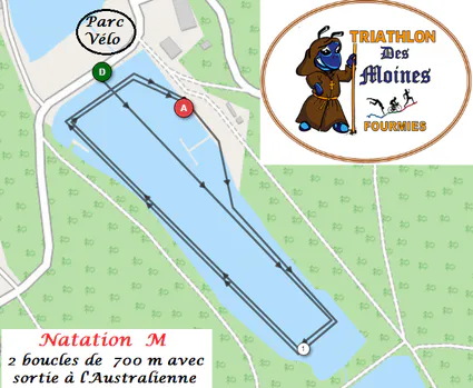 Natation m