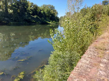 2025 07 17 sortie velo patrimoine insolite butta rotta 11