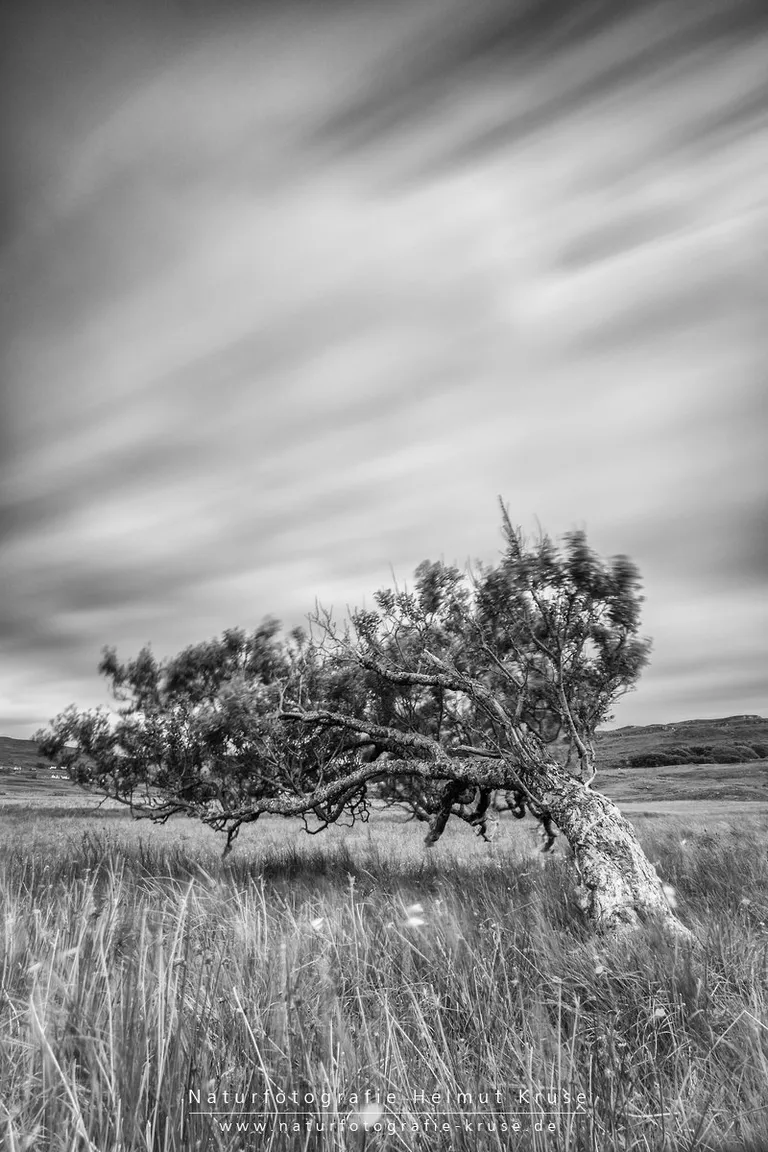 Hkr34275 bearbeitet bearbeitet