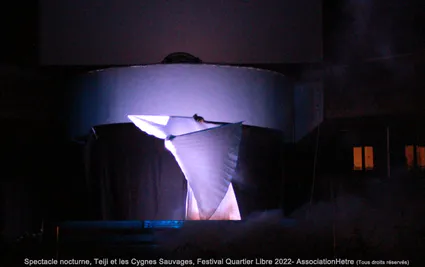 Teiji festival quartier libre 2022 association hetre tous droits reserves 64